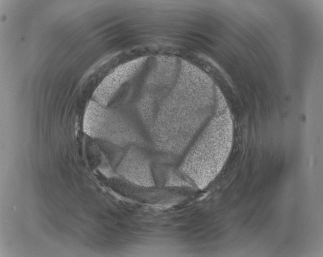 X0000082750919200702240034