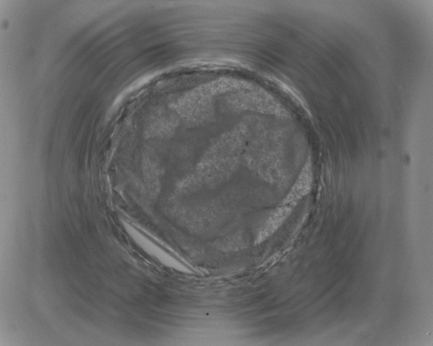 X0000082750920200702240034