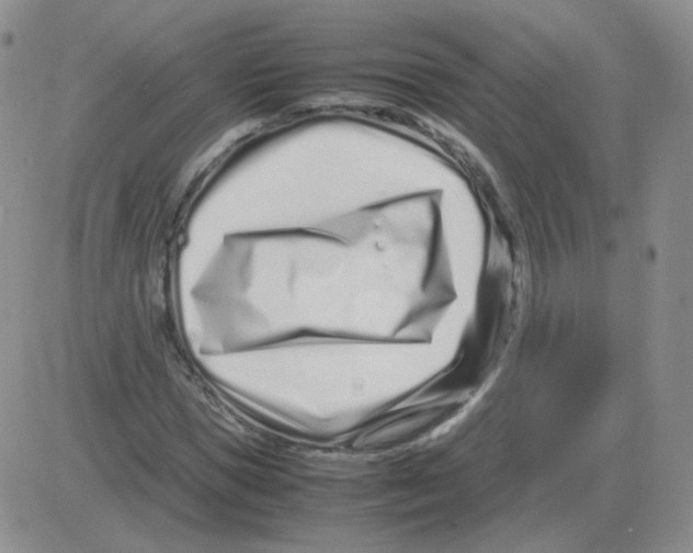 X0000082750921200702240034