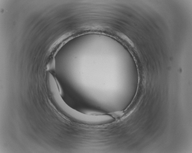 X0000082750922200702240035