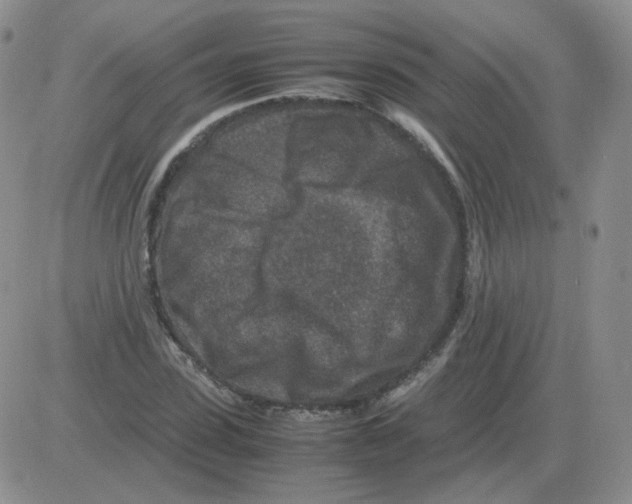 X0000082750923200702240035