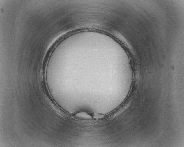 X0000082750924200702240035