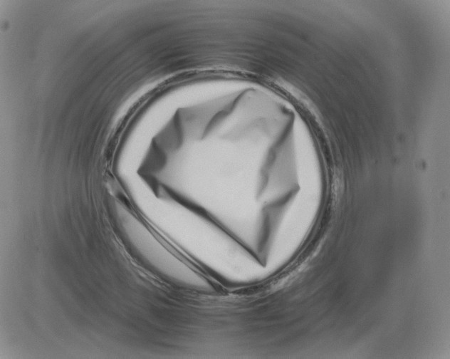 X0000082750925200702240035