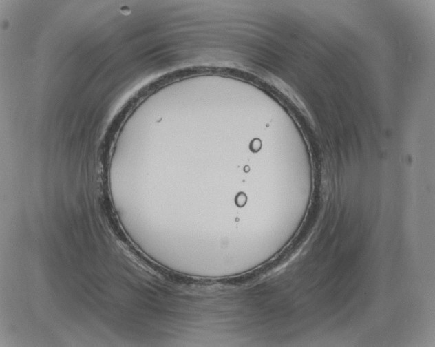 X0000082750926200702240035