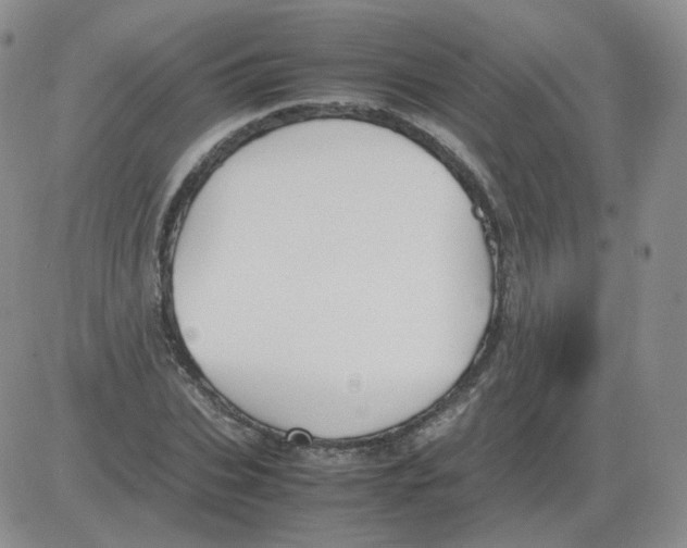 X0000082750927200702240035