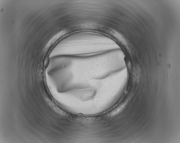 X0000082750930200702240035