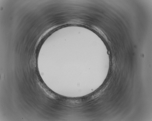 X0000082750931200702240035