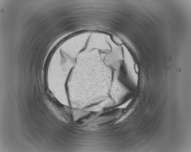 X0000082750932200702240035