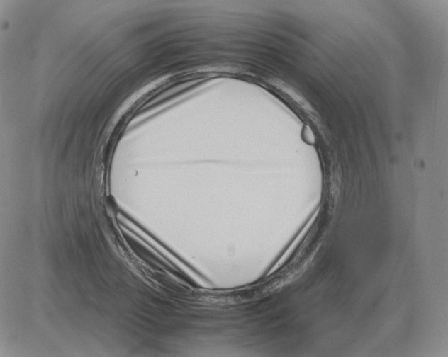 X0000082750933200702240035