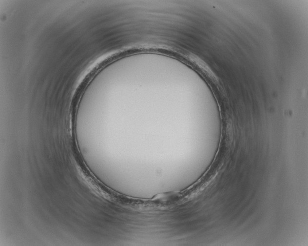 X0000082750934200702240035