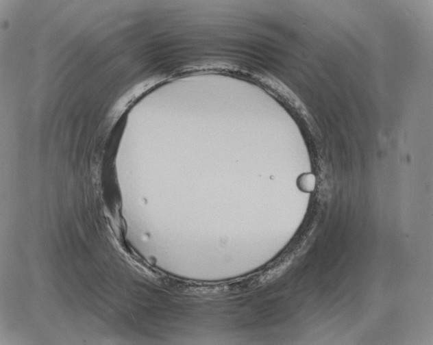 X0000082750937200702240035