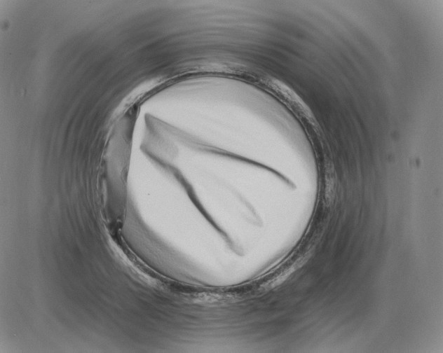 X0000082750938200702240035