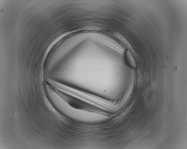 X0000082750939200702240035