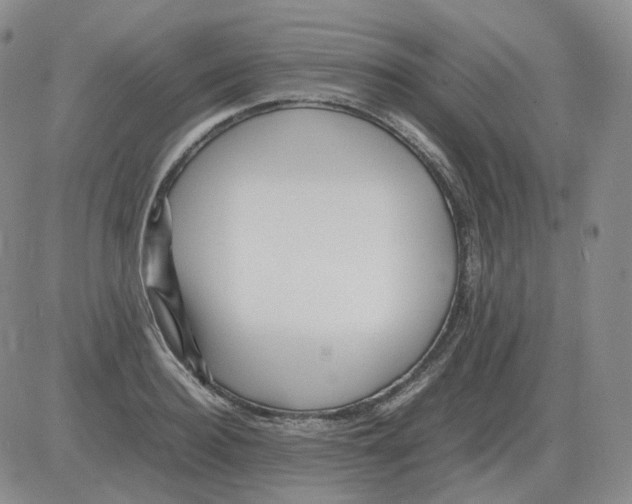 X0000082750940200702240035