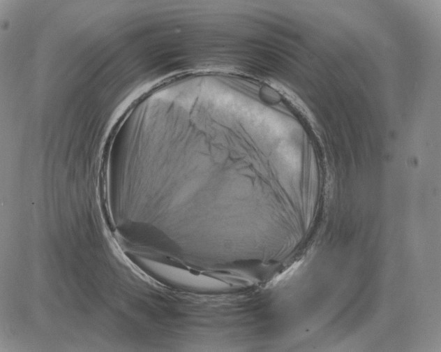 X0000082750941200702240035