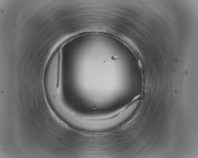 X0000082750942200702240035