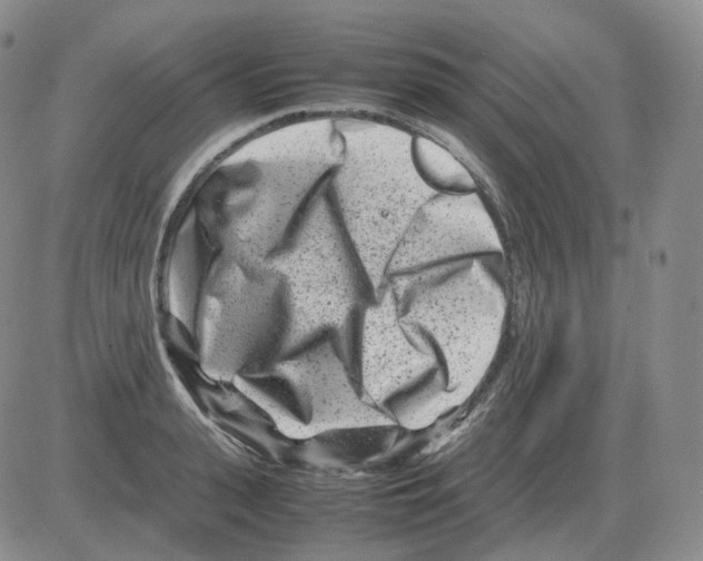 X0000082750943200702240035