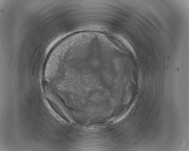 X0000082750944200702240035