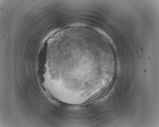 X0000082750945200702240035