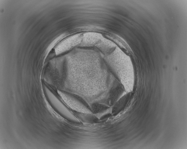 X0000082750946200702240035