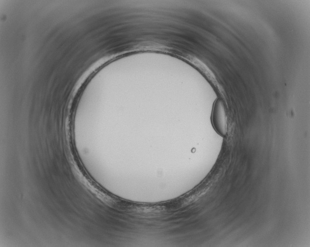 X0000082750947200702240035