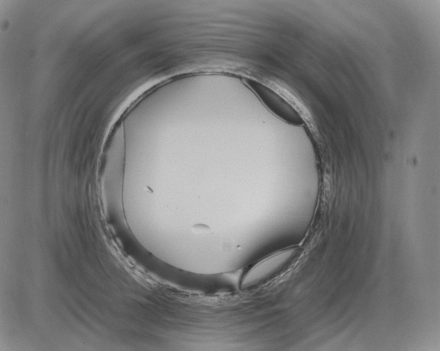 X0000082750948200702240035