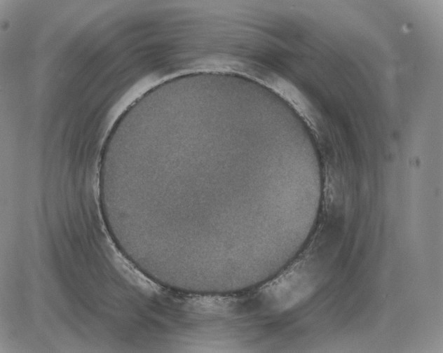 X0000082750950200702240035