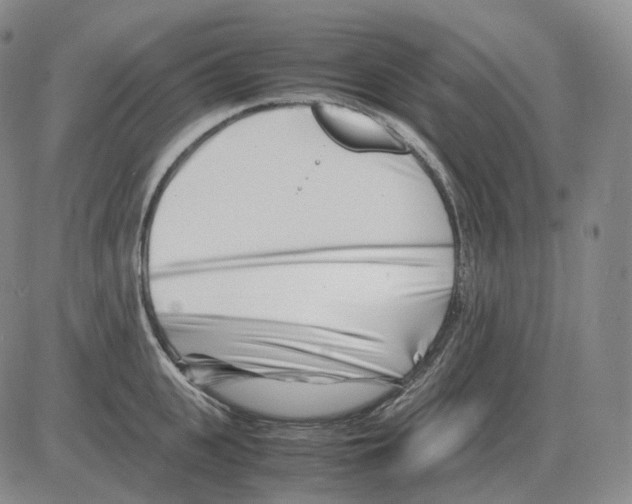 X0000082750951200702240035