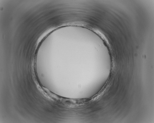 X0000082750952200702240035