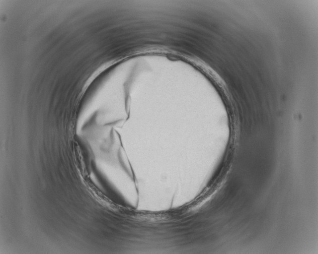 X0000082750953200702240035