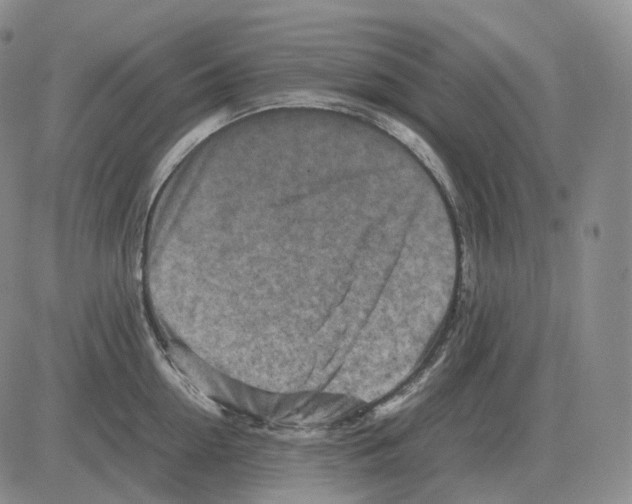 X0000082750954200702240035