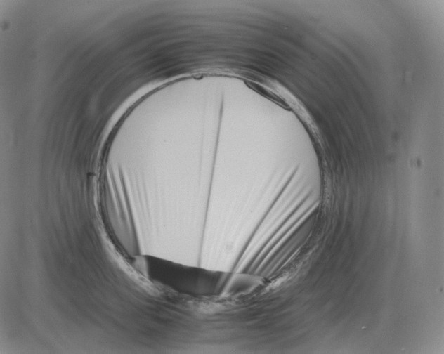 X0000082750955200702240035