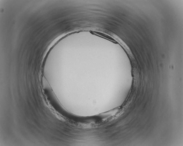 X0000082750956200702240035