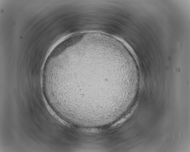 X0000082750957200702240035