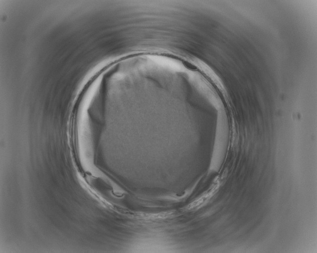 X0000082750958200702240035