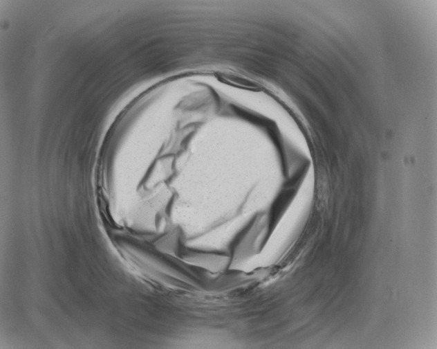 X0000082750959200702240035