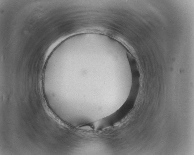 X0000082750960200702240035