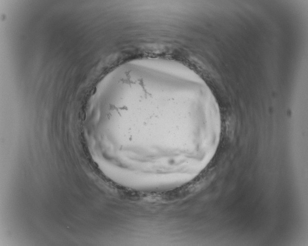 X0000082750961200702240034