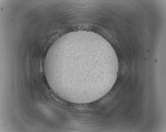 X0000082750962200702240034