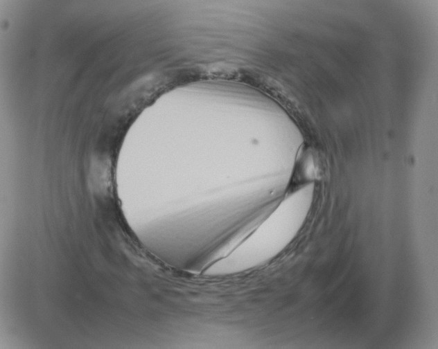 X0000082750963200702240034