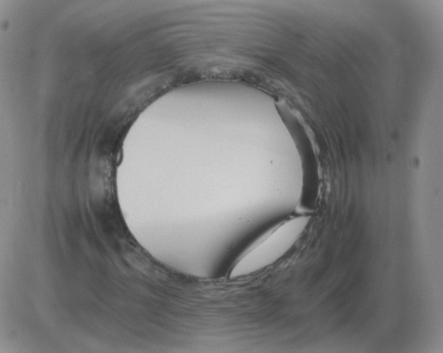 X0000082750964200702240034