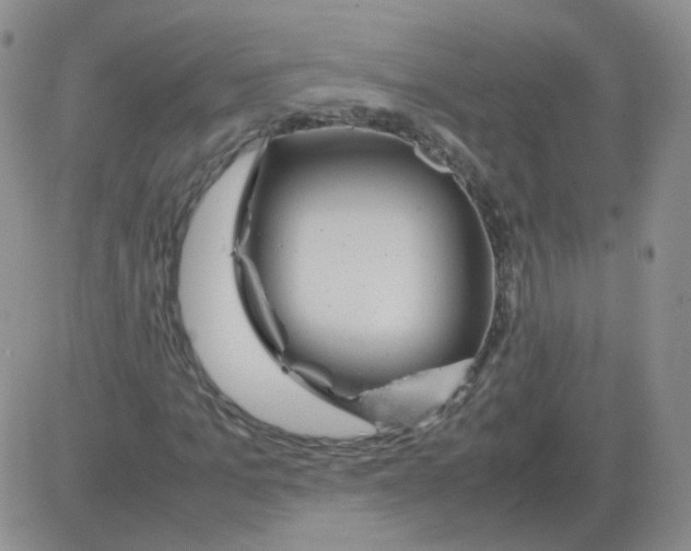 X0000082750965200702240034