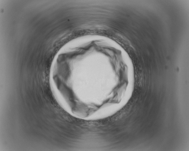 X0000082750966200702240034