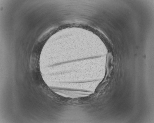 X0000082750967200702240034