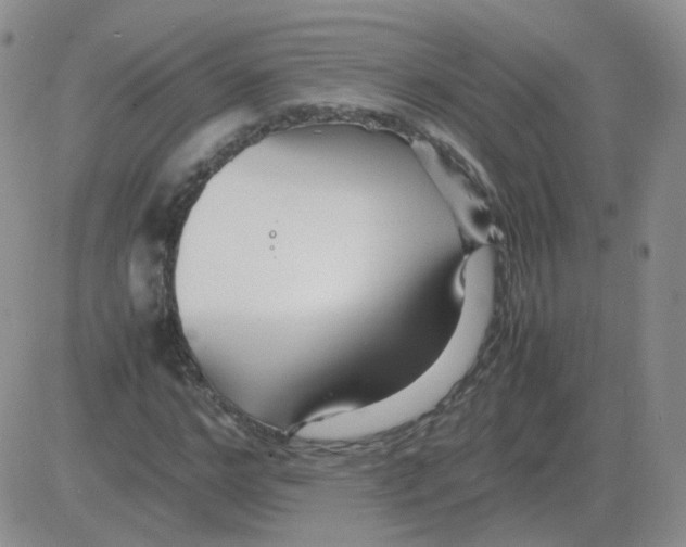 X0000082750968200702240034