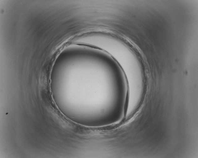 X0000082750969200702240034