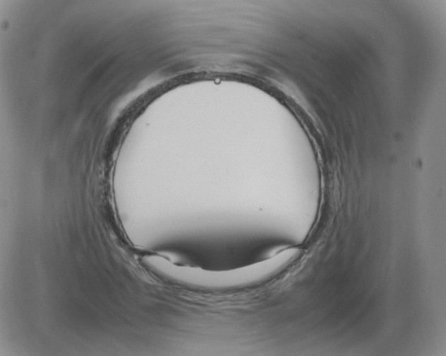 X0000082750971200702240034