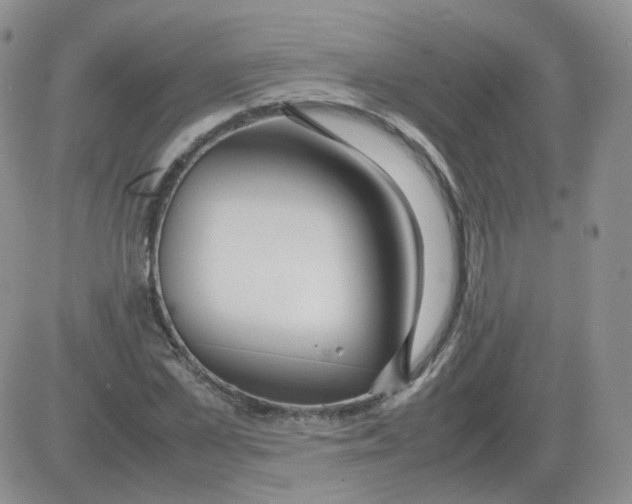 X0000082750973200702240034