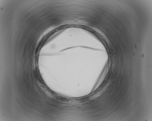 X0000082750974200702240034