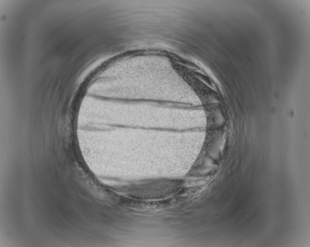 X0000082750975200702240034